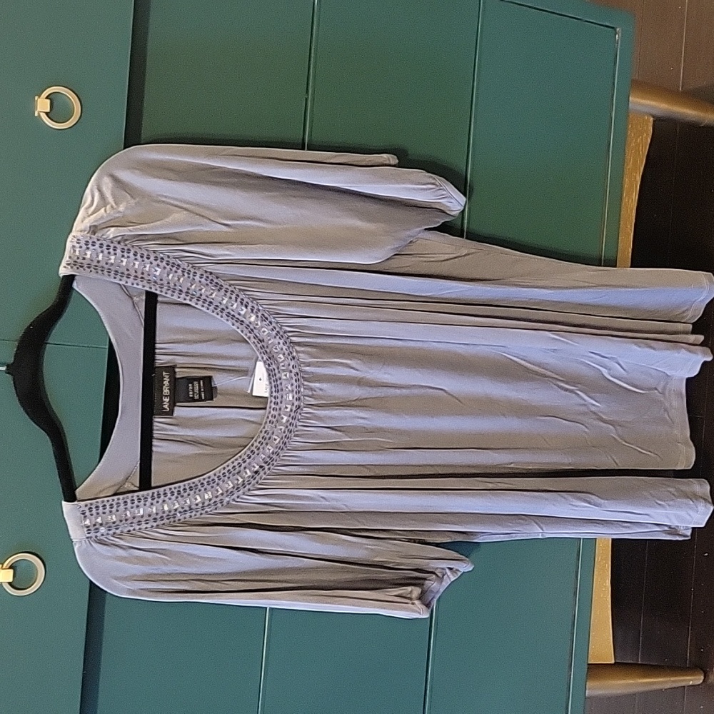 Lane Bryant Top (22/24)